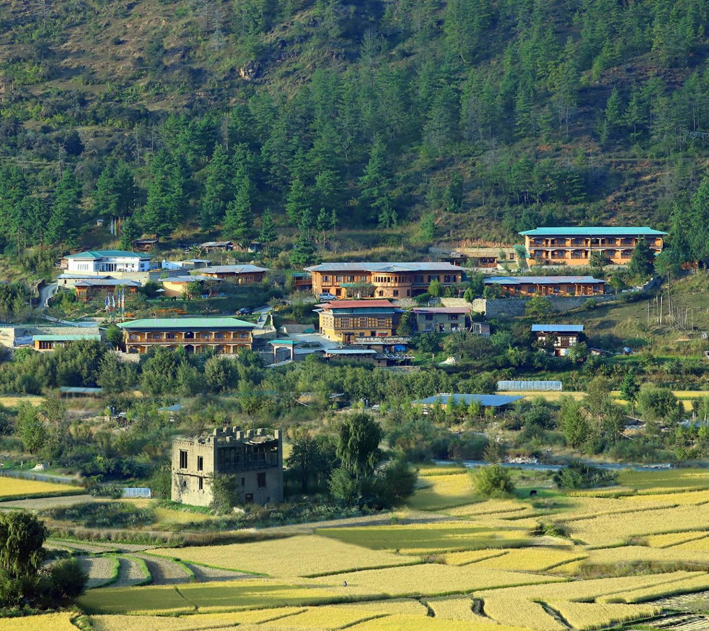 Rema Resort Paro Luaran gambar